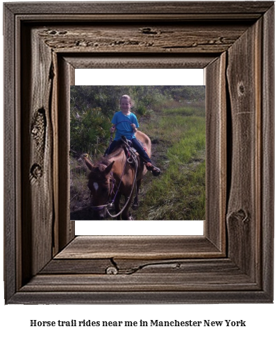 horse trail rides near me in Manchester, New York